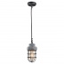 Подвесной светильник Lussole Loft LSP-9691