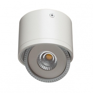 Потолочный светильник Arte Lamp Studio A4105PL-1WH