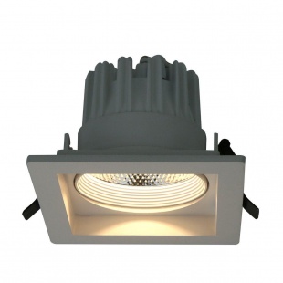 Точечный светильник Arte Lamp Privato A7007PL-1WH