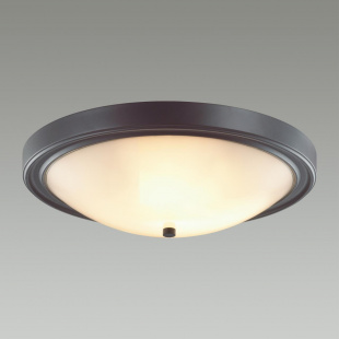 Настенно-потолочный светильник Lumion Nina 5260/4C