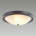 Настенно-потолочный светильник Lumion Nina 5260/4C