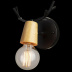 Настенный светильник Loft IT Sven 10024/1W Black