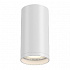 Потолочный светильник Maytoni Focus S C052CL-01W