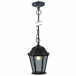 Подвесной уличный светильник Arte Lamp Genova A1205SO-1BS