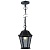 Подвесной уличный светильник Arte Lamp Genova A1205SO-1BS