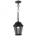 Подвесной уличный светильник Arte Lamp Genova A1205SO-1BS