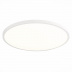 Потолочный светодиодный светильник ST Luce ST601.542.48