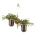 Настенный светильник Odeon Light Flower 4682/1W