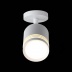 Потолочный светодиодный светильник ST Luce Cerione ST101.512.05