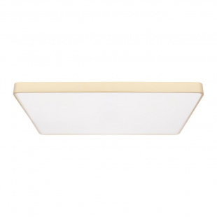 Потолочный светодиодный светильник Loft IT Flims 10228/E