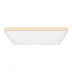 Потолочный светодиодный светильник Loft IT Flims 10228/E