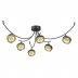 Люстра светодиодная потолочная Odeon Light Fineca 3812/42CL