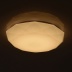 Потолочный светодиодный светильник с пультом ДУ MW-Light Ривз 9 674014801