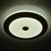 Потолочный светодиодный светильник с пультом ДУ MW-Light Энигма 688010401