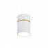 Потолочный светодиодный светильник Favourite Dunia 3067-1C