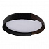 Потолочный светодиодный светильник Loft IT Coin 10198 Black