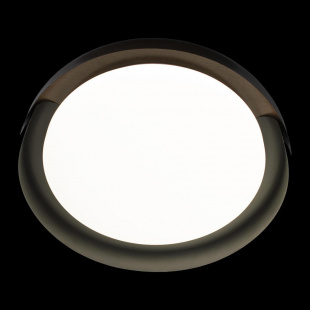 Потолочный светодиодный светильник Loft IT Coin 10198 Black