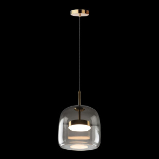 Подвесной светодиодный светильник Loft IT Dauphin 10041A