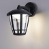 Уличный настенный светодиодный светильник Arte Lamp Enif A6064AL-1BK