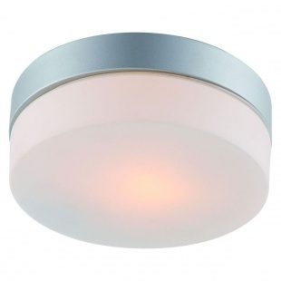 Светильник влагозащищенный Arte Lamp Shirp A3211PL-1SI