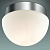 Потолочный светильник для ванной Odeon Light Minkar 2443/1A