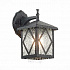 Уличный настенный светильник ST Luce Lorne SL084.411.01