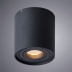 Накладной светильник Arte Lamp Galopin A1460PL-1BK