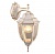 Светильник уличный настенный Arte Lamp Pegasus A3152AL-1WG