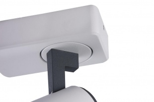 Потолочный светильник Vele Luce Lexi VL8071S01