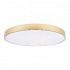 Потолочный светодиодный светильник Loft IT Flims 10228/B