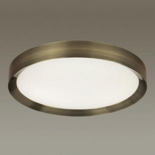 Потолочный светодиодный светильник Odeon Light Lunor 4948/60CL