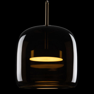 Подвесной светодиодный светильник Loft IT Dauphin 10040A