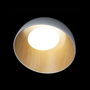 Потолочный светодиодный светильник Loft IT Egg 10197/350 White