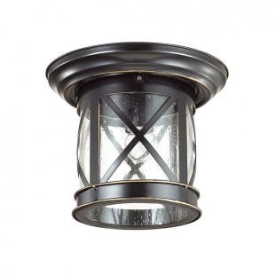 Потолочный уличный светильник Odeon Light Sation 4045/1C