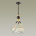 Люстра Odeon Light Stono 4789/5A