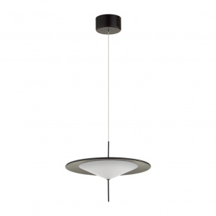 Подвесной светодиодный светильник Odeon Light Steka 5012/16L