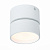 Потолочный светодиодный светильник ST Luce ST651.532.09