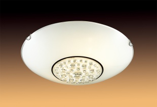 Настенно-потолочный светильник Sonex Lakrima 228