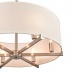 Подвесная люстра Vele Luce Camellia VL4203P16