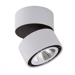 Накладной светильник Lightstar Forte Muro 214830