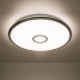 Потолочный светодиодный светильник Citilux Старлайт Смарт CL703A100G Потолочный светодиодный светильник Citilux Старлайт Смарт CL703A100G