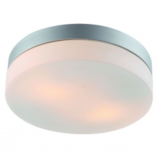 Светильник влагозащищенный Arte Lamp Shirp A3211PL-2SI