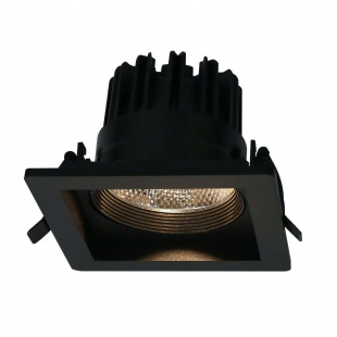 Точечный светильник Arte Lamp Privato A7007PL-1BK