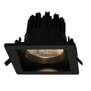 Точечный светильник Arte Lamp Privato A7018PL-1BK