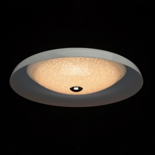 Потолочный светодиодный светильник MW-Light Ривз 674016401