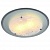Потолочный светильник Arte Lamp 108 A4806PL-1CC