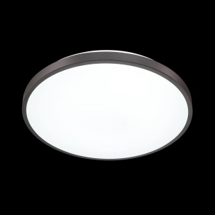 Настенно-потолочный светильник Sonex Smalli 3012/DL