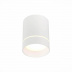 Накладной светильник ST Luce ST115.532.12 Накладной светильник ST Luce ST115.532.12