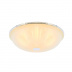 Потолочный светильник F-Promo Costa 2753-3C