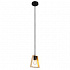 Подвесной светильник Arte Lamp Brussels A8030SP-1BK